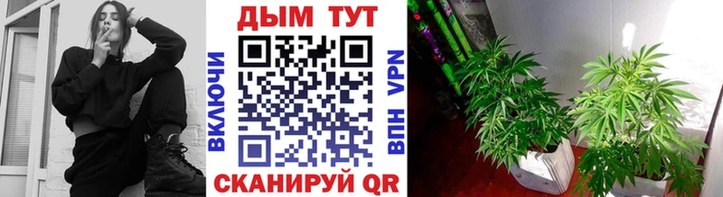 Где продают наркотики Аргун ГАШ МЕТАМФЕТАМИН блэк спрут Alpha PVP МЕФ