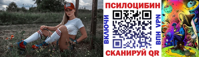 Псилоцибиновые грибы прущие грибы  где продают наркотики  Аргун 